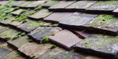 Waltham Abbey roof repair costs